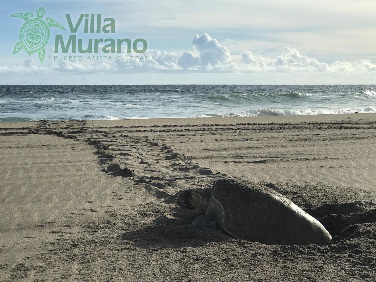 Hotel Villa Murano Puerto Arista Kültér fotó